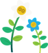 garden1